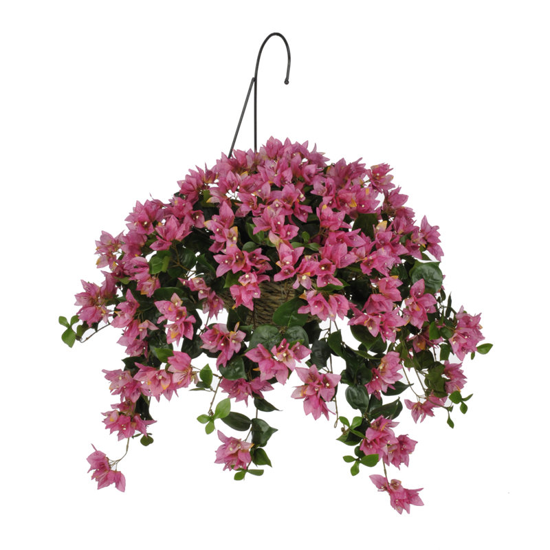 House of Hampton® Faux Bougainvillea Trailing Hanging Flowering Plant